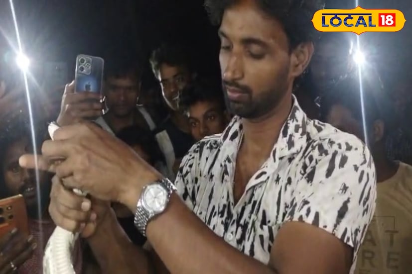 খবর পেয়ে ঘটনাস্থলে পৌঁছন সর্পপ্রেমী অমিত শর্মা। তিনি অজগরটিকে উদ্ধার করেন। পরে দেখা যায়, এটি প্রায় সাড়ে ছয় ফুট লম্বা একটি পূর্ণবয়স্ক অজগর এবং সম্পূর্ণ সুস্থ অবস্থায় রয়েছে।