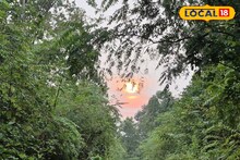 আমেরিকা যাওয়ার স্বপ্ন? এক টুকরো 'আমাজন' জঙ্গলের স্বাদ পেতে পারেন জেলাতেই! জানলেই ছুটবেন এখন