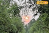 আমেরিকা যাওয়ার স্বপ্ন? এক টুকরো 'আমাজন' জঙ্গলের স্বাদ পেতে পারেন জেলাতেই! জানলেই ছুটবেন