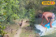 শালের জঙ্গলে ঘেরা 'এই' জায়গা কাপল ফ্রেন্ডলি,মনের ক্লান্তি কাটাতে ঘুরে আসবেন নাকি? রইল খোঁজ