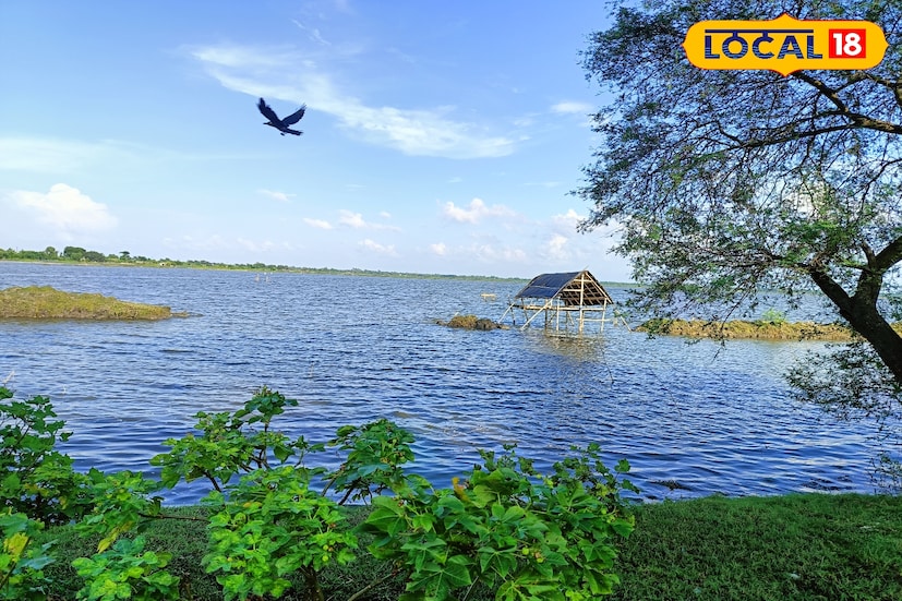 শুধু প্রকৃতির সৌন্দর্যই নয়, এখানে আছে মাছ চাষের একাধিক ভেড়ি বা জলাশয়। সেই ভেড়িগুলিতে ভেসে থাকে নানান জাতের মাছ, আর চারপাশে উড়ে বেড়ায় নানা প্রজাতির পাখি। তাদের কূজন আর জলছোঁয়া হাওয়ার শব্দ একসঙ্গে মিলিয়ে তোলে এক অনন্য সুর। এই পরিবেশে কয়েক ঘণ্টা কাটালেই মনে হবে শহরের ক্লান্তি কোথায় যেন হারিয়ে গেল।