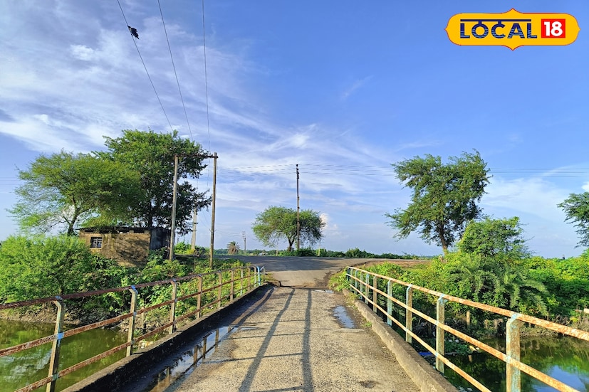 কলকাতা থেকে অল্প দূরেই এমনই এক মনোমুগ্ধকর জায়গা হলো উত্তর ২৪ পরগনার মিনাখার কামারগাতি ও সরুপোল এলাকা। সবুজে মোড়া প্রশস্ত রাস্তা, দু’পাশে ঘন গাছের চাদর আর চারপাশে প্রকৃতির শান্ত সৌন্দর্য — যেন ছবির মতো এক দৃশ্য। শহরের কোলাহল পেরিয়ে এখানে পৌঁছালে এক অন্যরকম প্রশান্তি মেলে।