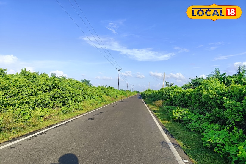 তবে স্থানীয়দের পরামর্শ, সন্ধ্যার পর এলাকায় না থাকাই ভাল, কারণ জায়গাটি তখন কিছুটা নির্জন হয়ে পড়ে। তাই দিনের আলোতেই ঘুরে আসা সবচেয়ে ভাল। একদিনের ছোট্ট ভ্রমণে যারা প্রকৃতির সান্নিধ্যে কিছুটা শান্তি খুঁজছেন, তাঁদের জন্য মিনাখার কামারগাতি ও সরুপোলের এই প্রান্ত হতে পারে এক নিখুঁত গন্তব্য।