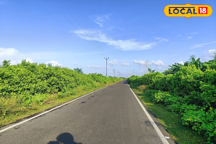 কর্মব্যস্ত জীবনের চাপে আজকাল নিজেদের জন্য একটু নিঃশ্বাস নেওয়ার সময়ই যেন পাওয়া যায় না। তবে যখনই সুযোগ মেলে, তখনই মানুষ খুঁজে নেয় প্রকৃতির কোলে কিছুটা নিরিবিলি সময় কাটানোর সুযোগ। শহরের কোলাহল, যানজট, যান্ত্রিক জীবন থেকে মুক্তি পেতে অনেকে এখন ছোট ছোট গ্রামীণ প্রান্তে ঘুরে বেড়াতে ভালবাসেন।