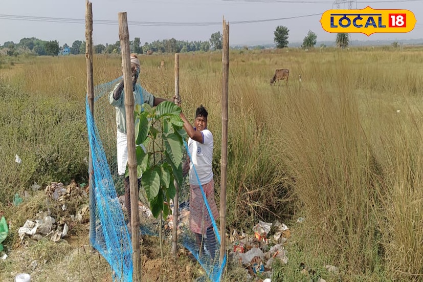 তবে কেবল গাছ লাগিয়েই দায় সারেননা তিনি।সারাবছর নিয়মিত পরিচর্যাও করেন। গাছ লাগিয়ে সেগুলোকে বাঁশ দিয়ে ঘিরে সুরক্ষিত করে জল দিয়ে বড় করে তোলেন। প্রখর গ্রীষ্মেও দূর থেকে টোটো তে করে জল নিয়ে এসে গাছে জল দেন তিনি। এছাড়াও তিনি দুঃস্থ পড়ুয়াদের দিকে সবরকম ভাবে সহযোগীতার হাত বাড়িয়ে দেন।(ছবি ও তথ্য : দীপিকা সরকার) 