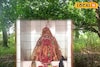৩০০ বছরের জাগ্রত কালীপুজো, সিদ্ধিকালী গ্রামের মা সিদ্ধেশ্বরী সবাইকে আগলে রাখেন, বিপদে ঢাল
