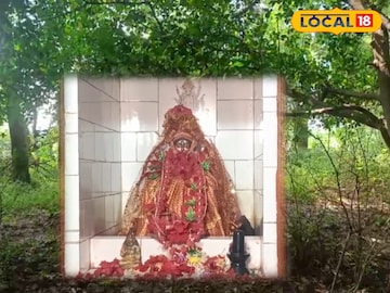 জঙ্গলে