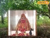 ৩০০ বছরের জাগ্রত কালীপুজো, সিদ্ধিকালী গ্রামের মা সিদ্ধেশ্বরী সবাইকে আগলে রাখেন, বিপদে ঢাল