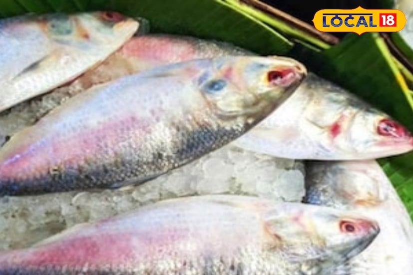 কাঁথি সহ মৎস্য অধিকর্তা (সামুদ্রিক বিভাগ) সুমন সাহা জানিয়েছেন, “আমরা এ বছর কড়া নজরদারি চালাচ্ছি। প্রচুর মাইকিং, লিফলেট বিতরণ ও মৎস্যজীবীদের সচেতন করা হচ্ছে। আমাদের লক্ষ্য অবৈধভাবে ইলিশ ধরা রোধ করা। কেউ আইন ভাঙলে কড়া ব্যবস্থা নেওয়া হচ্ছে। ” দিঘা ফিশারমেন অ্যান্ড ফিশ ট্রেডার্স অ্যাসোসিয়েশনের সম্পাদক শ্যামসুন্দর দাস বলেন, 