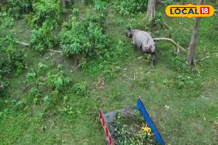 জলদাপাড়া জাতীয় উদ্যান একশৃঙ্গ গণ্ডারের জন্য পরিচিত। গণ্ডার সংরক্ষণের বিষয়ে দেশে দ্বিতীয় স্থান অধিকার করেছে এই জাতীয় উদ্যান। প্রাকৃতিক বিপর্যয়ে এই জাতীয় উদ্যানের গণ্ডারগুলি সবচেয়ে বেশি বিপদের মুখে পড়ে। 