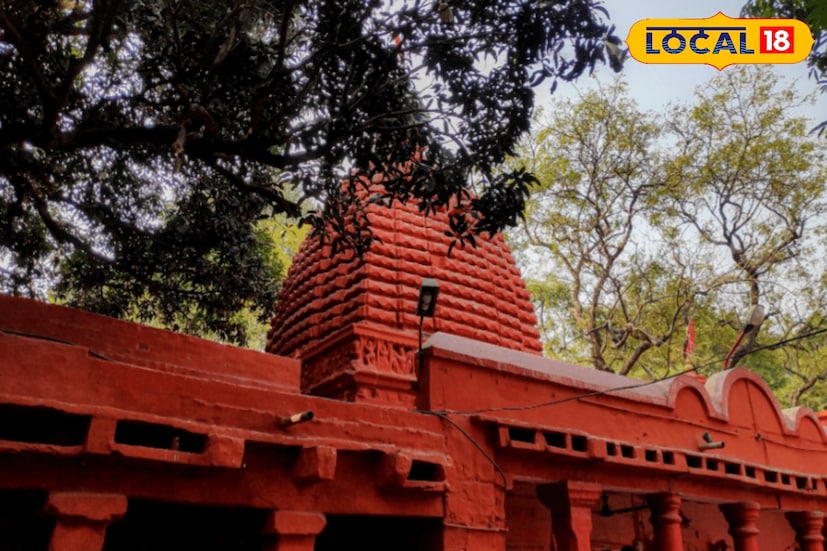 কর্মব্যস্তময় জীবন। এক মিনিটও এদিকে ওদিকে তাকানোর সময় নেই। কাজের চাপ মনে হচ্ছে কার্যত ঘাড়ে নিঃশ্বাস ফেলছে। এই কাজের চাপে কিছুই যেনও ভাল লাগছে না। মনে হয় যেন একটু ছুটি পেলেই দূরে কোথাও ঘুরে আসি। (ছবি ও তথ্য : রিন্টু পাঁজা)