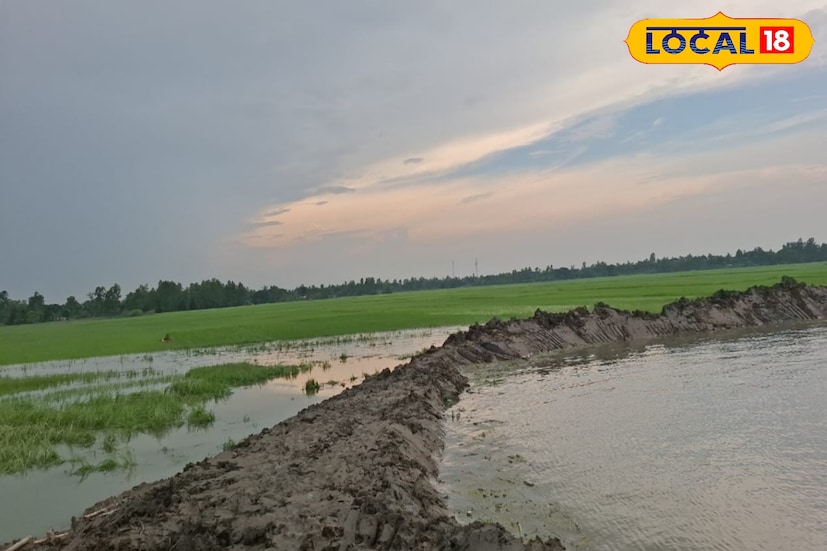 নদীর নোনা জল গ্রামে ঢুকে পড়ায় চাষের জমি, পুকুরের মাছ থেকে শুরু করে মাটির বাড়ি ক্ষতিগ্রস্থ হয়। সেচ দফতরের কর্মীরা বাঁধ মেরামতির চেষ্টা করলেও তা সম্ভব হয়নি।
