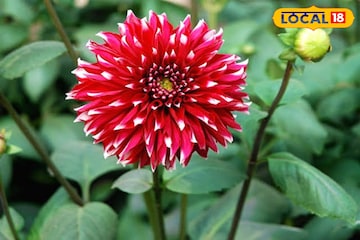 খরচ মাত্র ২৫,০০০ টাকা! অক্টোবর থেকেই শুরু করুন এই কাজ, প্রতি মাসে পকেটে উপচে পড়বে টাকা খরচ মাত্র ২৫,০০০ টাকা! অক্টোবর থেকেই শুরু করুন এই কাজ, প্রতি মাসে পকেটে উপচে পড়বে টাকা