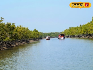প্রিয়জনকে সঙ্গে নিয়ে শীতে সুন্দরবন যাওয়ার প্ল্যান? আগে ভাল করে জেনে নিন এই তথ্যগুলো!