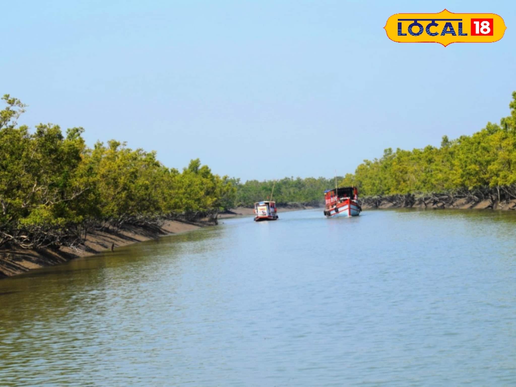 Sundarbans Travel: শীতের মরসুমে সুন্দরবন বেড়াতে যাওয়ার আগে জেনে নিন এই গুরুত্বপূর্ণ তথ্যগুলি!