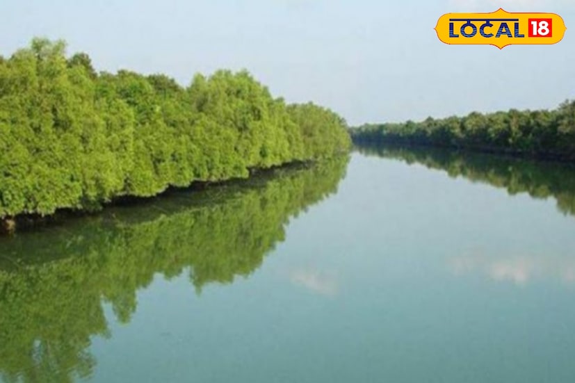 ভ্রমণের সময় প্রাথমিক প্রস্তুতি থাকা খুব দরকার। পর্যাপ্ত পানীয় জল, শুকনো খাবার, সানস্ক্রিন, হ্যাট, টর্চলাইট, মশা তাড়ানোর ক্রিম, চার্জার বা পাওয়ার ব্যাংক সঙ্গে রাখুন। এছাড়া জ্বর, ব্যথা, পেটের সমস্যা ইত্যাদির সাধারণ ওষুধ সঙ্গে রাখলে অজানা স্থানে বিপদের সময় কাজে লাগবে।