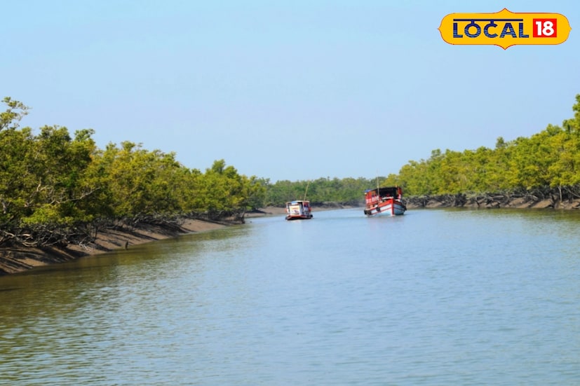শীত পড়লেই বেড়ানোর মেজাজ চড়ে যায়। আর প্রকৃতিপ্রেমীদের কাছে শীতকাল মানেই সুন্দরবনের ডাক। নভেম্বর থেকে ফেব্রুয়ারি—এই সময়টাই সুন্দরবন ভ্রমণের জন্য সবচেয়ে উপযুক্ত। এই সময় রয়্যাল বেঙ্গল টাইগার, কুমির, হরিণ ও নানান প্রজাতির পাখি দেখার সম্ভাবনাও অনেক বেশি।