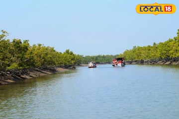 প্রিয়জনকে সঙ্গে নিয়ে শীতে সুন্দরবন যাওয়ার প্ল্যান? আগে ভাল করে জেনে নিন এই তথ্যগুলো! প্রিয়জনকে সঙ্গে নিয়ে শীতে সুন্দরবন যাওয়ার প্ল্যান? আগে ভাল করে জেনে নিন এই তথ্যগুলো!