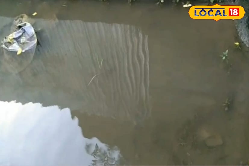 এদিন পুরসভার ওয়ার্ড পরিদর্শনে বেরিয়ে সাধারণ মানুষের ক্ষোভের মুখে পড়েন পুরসভার চেয়ারম্যান অশোক মিত্র। তিনি অবশ্য বিভিন্ন ওয়ার্ডের সুপারভাইজারদের ডেকে সঙ্গে সঙ্গে পুরসভার পাম্প মেশিন নিয়ে এসে জল তুলে ফেলার নির্দেশ দেন।