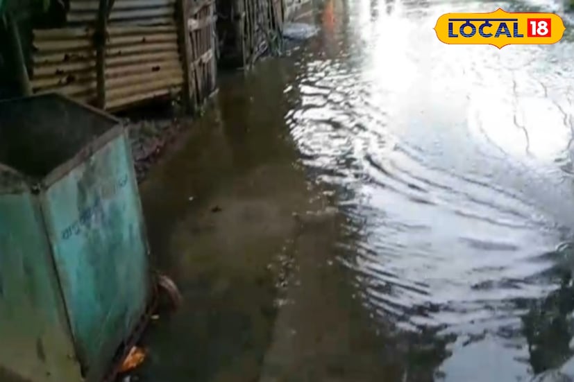 স্থানীয় প্রায় প্রতিটা ওয়ার্ডের সাধারণ মানুষের অভিযোগ, স্থানীয় কাউন্সিলরকে বা পুরসভার পরিষ্কার পরিচ্ছন্নতার দায়িত্বে থাকা সুপারভাইজারকে জানিয়েও কোনও লাভ হয়নি।