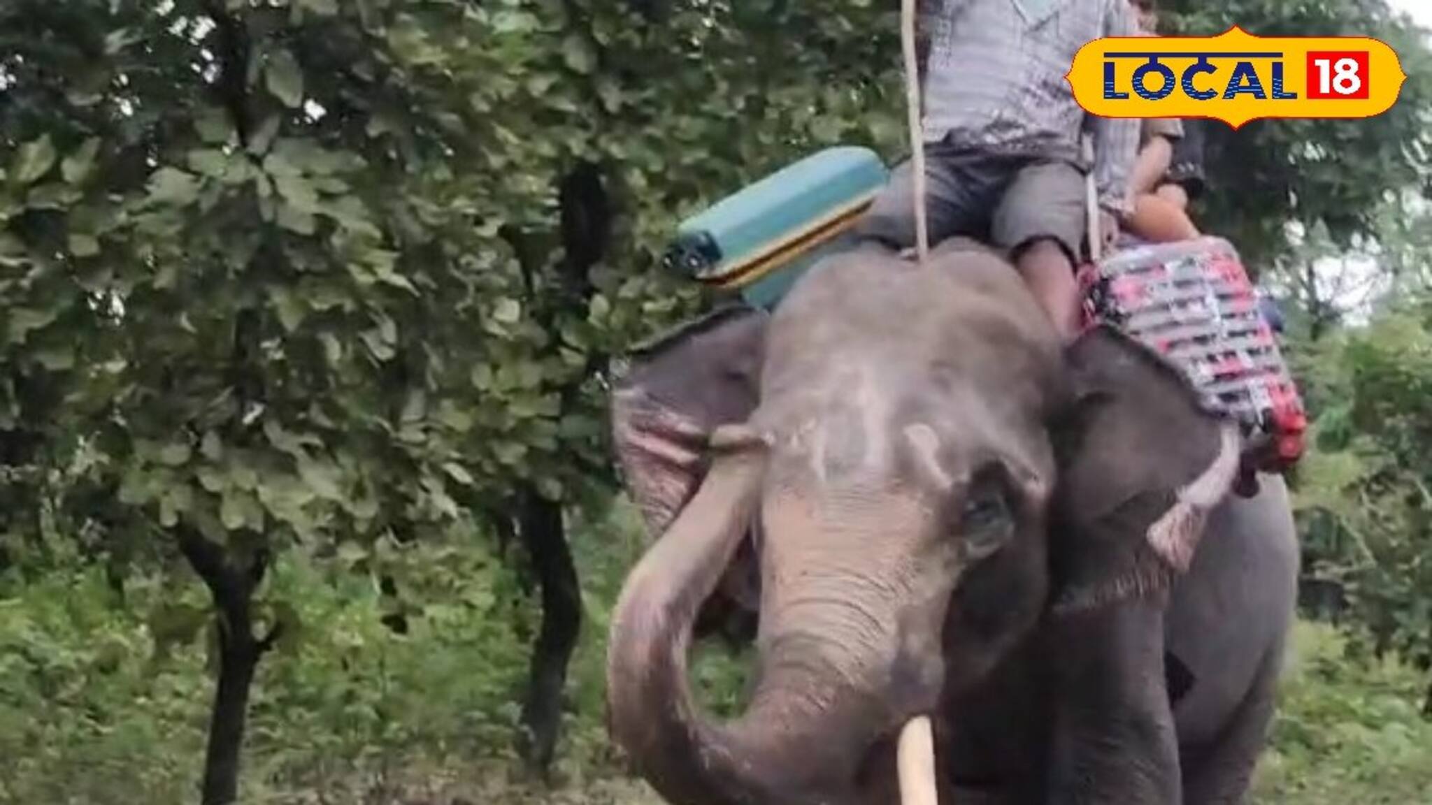 পুরস্কৃত করা হবে জলদাপাড়া এবং গরুমারার কুনকি হাতিদের 