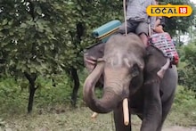 Elephant to get Prize: বন‍্যায় তাঁদের সাহায‍্য মনে আছে সবার! পুরস্কৃত করা হবে জলদাপাড়া এবং গরুমারার কুনকি হাতিদের 
