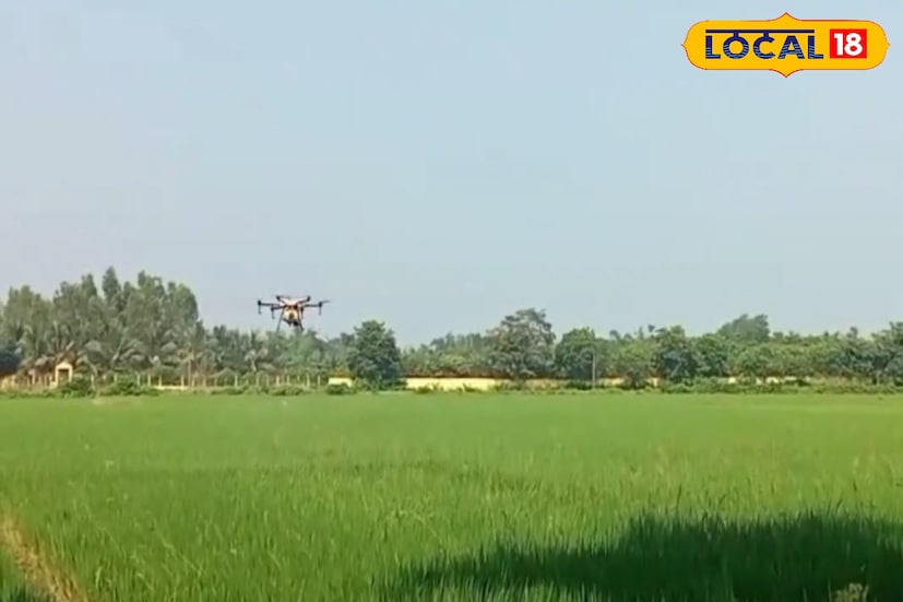 এলাকার আরেক কৃষক জানান, প্রথম এই এলাকায় ড্রোনের সাহায্যে জমিতে স্প্রে করা হচ্ছে। খুব কম সময়ের মধ্যে অনেকটা জমিতে স্প্রে করা যাচ্ছে। সাপের উপদ্রবে স্প্রে করার খুব সমস্যা হয়, আবার শ্রমিকও পাওয়া যায় না। সেই জায়গায় দাঁড়িয়ে এই পদ্ধতিতে খুবই উপকার হবে। সাপের কামড় থেকেও বাঁচবেন কৃষকেরা। আগে মানুষ তারপর তো ফসল। তাই কৃষিক্ষেত্রে এই ধরণের নতুন পদ্ধতি আমাদের খুবই উপকার করবে। (ছবি ও তথ্যঃ সায়নী সরকার)