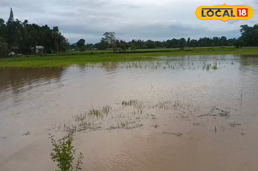 সবচেয়ে বেশি ক্ষতি হয়েছে নাগরাকাটা ও ধূপগুড়ি ব্লকে। পাশাপাশি ময়নাগুড়ি, জলপাইগুড়ি সদর ও রাজগঞ্জ ব্লকেরও অবস্থা শোচনীয়। শুধু কৃষি নয়, সেচ ব্যবস্থাতেও বড়সড় ধাক্কা লেগেছে। সেচ দফতরের সমীক্ষা বলছে, নদীখাত, বাঁধ ও স্পারগুলিতে ব্যাপক ক্ষয়ক্ষতি হয়েছে। ময়নাগুড়ির আমগুড়িতে জলঢাকা নদীর ডানদিকের বাঁধ পাঁচ জায়গায় ভেঙে পড়েছে, মাথাভাঙার গিলাইডাঙা বাঁধে বিশাল গর্ত তৈরি হয়েছে। নাগরাকাটার ডায়না, গাঠিয়া ও কুচি ডায়না নদীর তাণ্ডবে ভেঙে গেছে রাস্তা ও সেতু।
