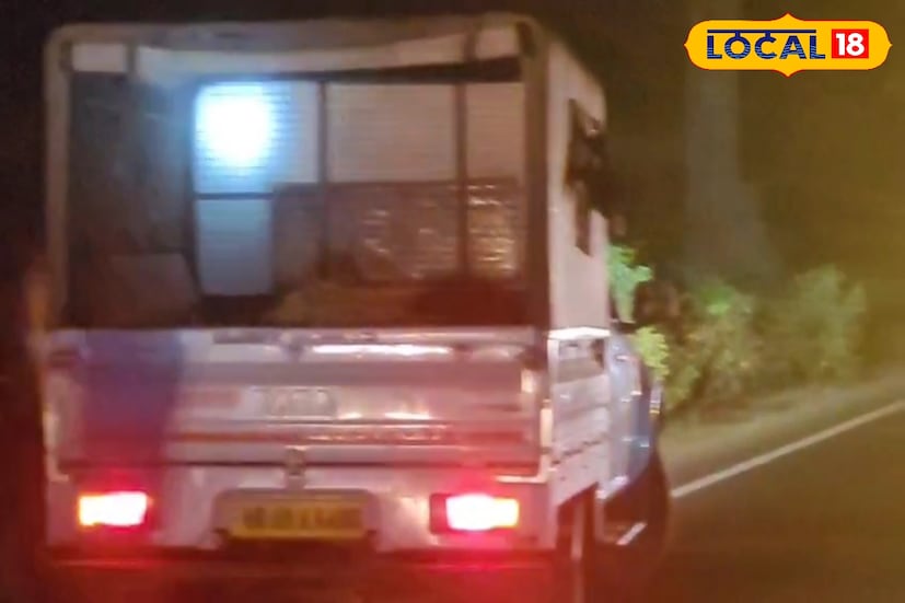 জলদাপাড়ার জঙ্গলে বেশি দেখা গিয়েছে বন্যপ্রাণীদের অস্তিত্ব সংকট। এই বন্যপ্রাণীগুলি গভীর জঙ্গলে যাবে, তবে তা সময় সাপেক্ষ বিষয়। এই অবস্থায় বন দফতরের পক্ষ থেকে গাড়ির চালকদের সতর্কতা বজায় রেখে গাড়ি চালাতে বলা হচ্ছে। 