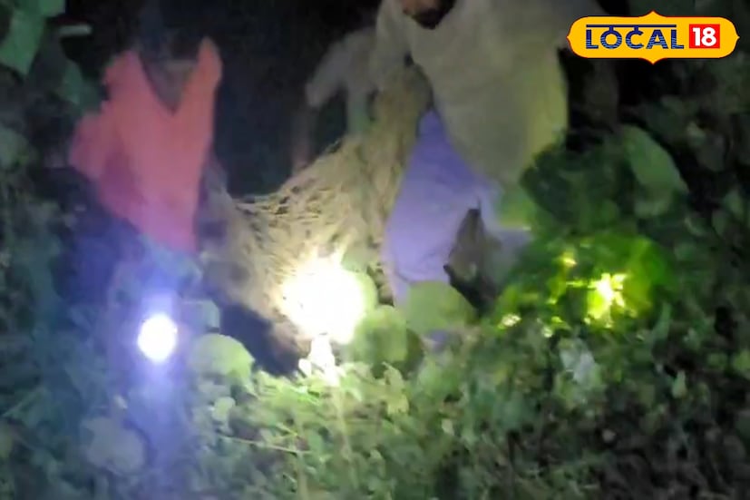 লেপার্ডটি বয়সে ছোট।বনকর্মীরা মনে করছে রাস্তা পারাপার করার সময় কোনও গাড়ি সেটিকে ধাক্কা দেয়। যারফলে সড়কের ধারে পড়েছিল লেপার্ডটি। প্রাকৃতিক দুর্যোগের কারণে অনেক বন্যপ্রাণী রাস্তার ধারের জঙ্গলে চলে এসেছে ভয়ে।
