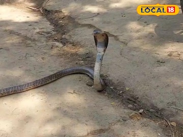 বাড়ির