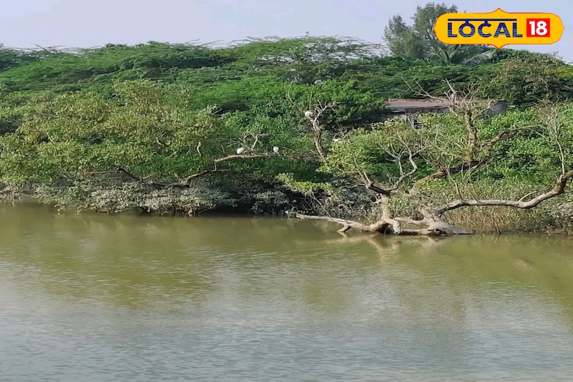 নতুন করে আবার ফাটল দেখা দেওয়ায় আতঙ্ক বেড়েছে। দুর্বল এই কাঁচা মাটির বাঁধে আপৎকালীন মেরামতের কাজ করছিল সেচ দফতর। সদ্য মেরামত করা সেই বাঁধে ফাটল দেখা দিয়েছে।