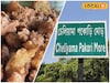 মনীষী নয়, পোকোড়ির নামে মোড়! পুরুলিয়ার ব্যতিক্রমী 'পোকোড়ি মোড়'