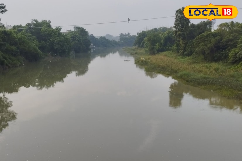 চলতি বছরের ফেব্রুয়ারিতে জলাধার দু’টি তৈরি হলেও এখনও পর্যন্ত সেখানে পাম্প বসানো হয়নি। পাশাপাশি পাইপলাইন বসানোর কাজও অর্থের অভাবে থমকে রয়েছে। এর ফলে নিকাশি নালার জল শোধনের পুরো প্রকল্পই কার্যত স্থগিত।