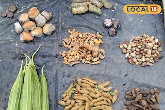 কচু, শাপলা, তেঁতুল দিয়ে তৈরি হল গাড়ুর ডাল...হেমন্তের আগমনে উদযাপিত নল সংক্রান্তি