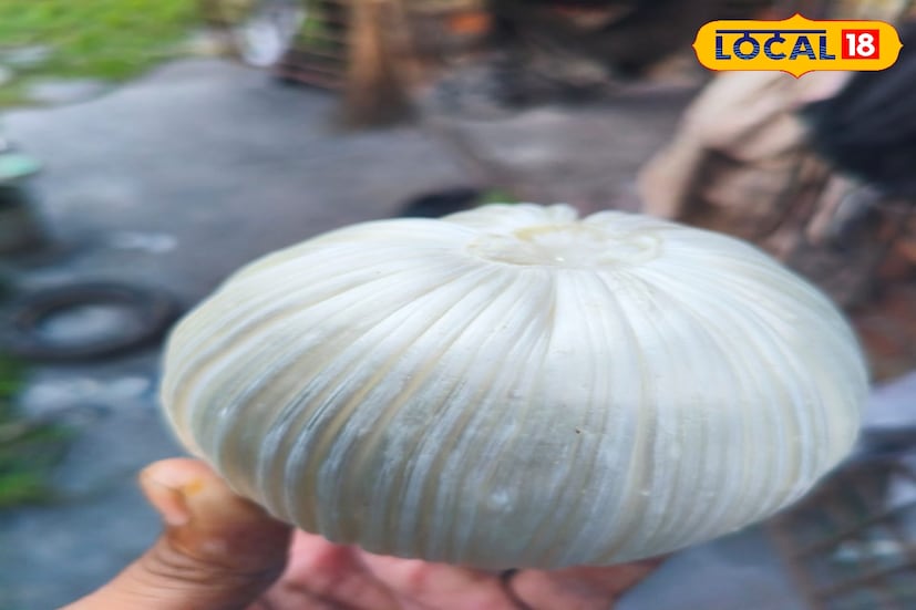 এ দীপাবলি এলেই কেউ কেনে বাড়ির জন্য বাহারি মোমবাতি, ডিজাইন করা প্রদীপ, বাহারি এলইডি লাইট। যা দিয়ে কার্যত তার নিজের বসতবাড়িকে সুন্দরভাবে সাজিয়ে তোলে। এক কথায় এই লাইট বাহারি মোমবাতি দিয়ে সাজিয়ে তুলতে বাড়িকে বেশ ভালই লাগে।