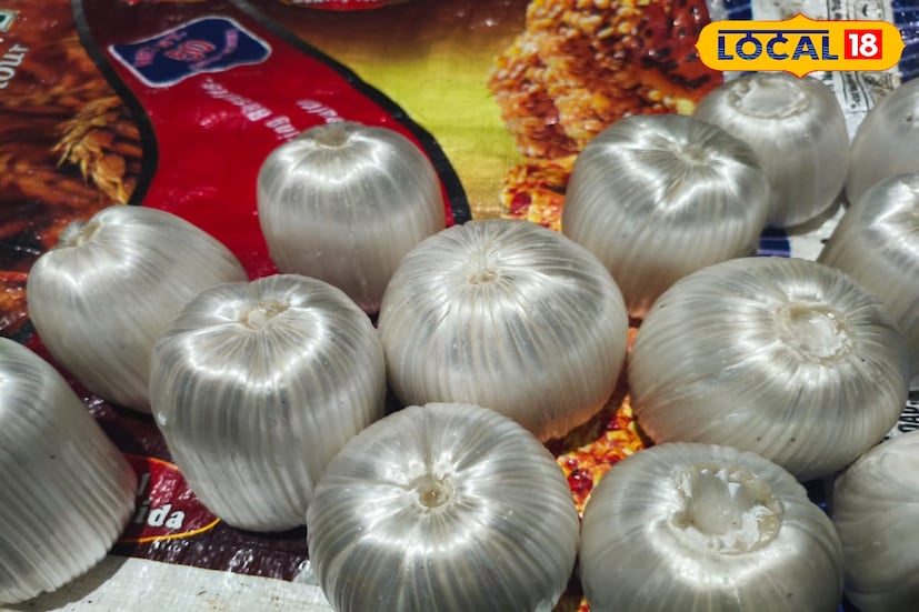 এখানে কদমা তৈরি হয় ছোট থেকে এক কেজি, তিন কেজি পাঁচ কেজি ওজনের চাইলে আপনি হাঁড়ি কদমাও অর্ডার দিয়ে নিয়ে যেতে পারেন। এবার কালীপুজোতে অর্ডারও পেয়েছেন তিন কেজি, পাঁচ কেজি ওজনের এই মোটা কদমা তৈরির। এই কালীপুজোর মুরশুমে বাজার ভাল থাকে, তাই তাঁদের মুখে চওড়া হাসি ফুটেছে। (ছবি ও তথ্য রিন্টু পাঁজা)