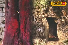 অলৌকিক...! এই দেবী মায়ের মন্দিরে নেই কোনও দরজা, কেন জানেন? জানুন বারাসাতের ডাকাত কালীর গায়ে কাঁটা দেওয়া গল্প!