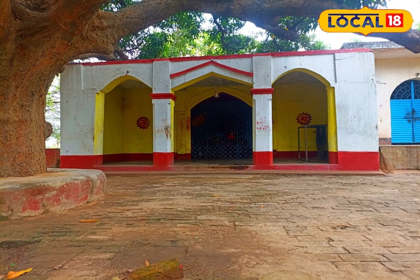 কুলুডিহি, শুশুনিয়া যাওয়ার পথে ছাতনা ব্লকের সামনে থেকে ডান দিকে নেমে সিধু কানু মোড় পেরিয়ে কিছুটা গিয়ে বাম দিকে বাঁকলেই পলাশ গাছে ঘেরা ছোট্ট একখানি গ্রাম। তাতে সর্বসাকুল্যে কুড়িটি পরিবারের বাস। 