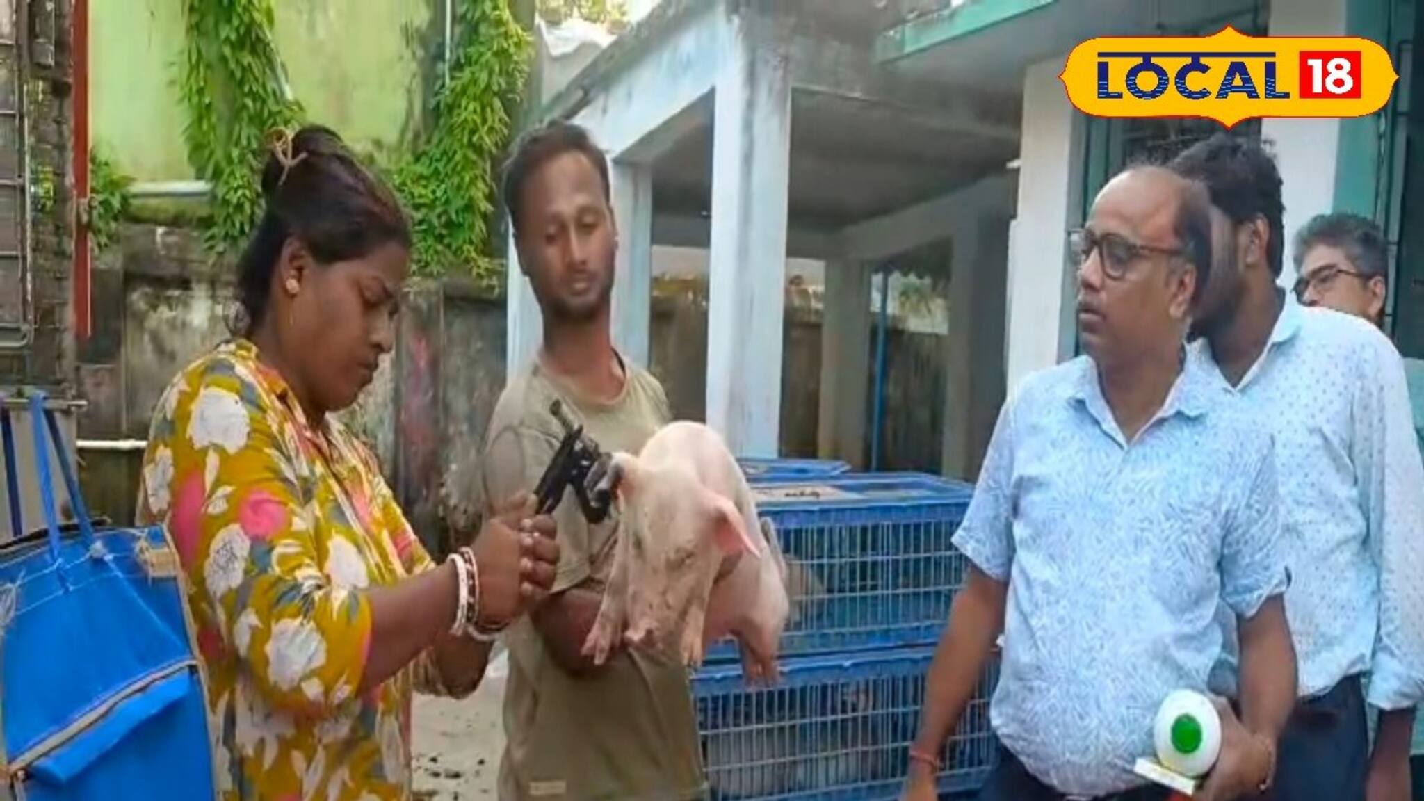 অন্য জীবিকার খোঁজ  সুন্দরবনে!  কুলতলীতে হচ্ছে এই পশুর পালন