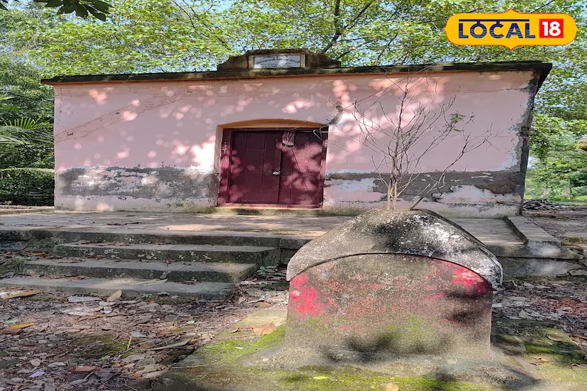 মহিষাদল রাজবাড়ির এই কালীপুজো মূলত বৈষ্ণব মতে হয়। উল্লেখযোগ্যভাবে এখানে দেবী কালীর পুজোর শুরুর আগে পুজো পান লক্ষ্মী- নারায়ণ। সারারাত পুজো দেখতে অধীর আগ্রহে বসে থাকেন গ্রামের মানুষজন। দেবী কালীর ভোগে প্রায়ই আলুভাতে দেওয়ারও রীতি রয়েছে। কালীপুজার দিন রাজবাড়ীর তরফ থেকে রান্না করে নানা ধরনের পদ এনে ভোগে দেওয়া হয়। (ছবি ও তথ্য: সৈকত শী)