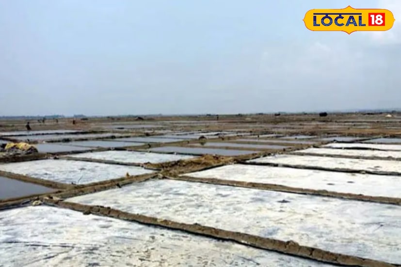 ইছামতীর জলপথে গড়ে উঠেছিল নুনের গোলা ও গুদামঘর। নদিয়ার মাজদিয়া থেকে ইছামতী প্রবাহিত হয়ে সুন্দরবনের রায়মঙ্গলে মিশেছে—এই পথ ধরেই চলত বাণিজ্যের রথ। ইছামতীর ধার ঘেঁষে একের পর এক হাট-বাজার, গুদামঘর আর ব্যবসায়িক স্থাপনা গড়ে ওঠে। বসিরহাট হয়ে ওঠে বাণিজ্য ও সংস্কৃতির এক নতুন কেন্দ্র।