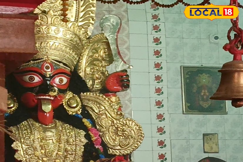  সারা বছর মন্দিরে বুড়ি কালীর মৃন্ময়ী প্রতিমা থাকে। সারা বছর শনি ও মঙ্গলবার জেলা তো বটেই, জেলার বাইরে থেকেও লোকজন আসে পুজো দিতে।