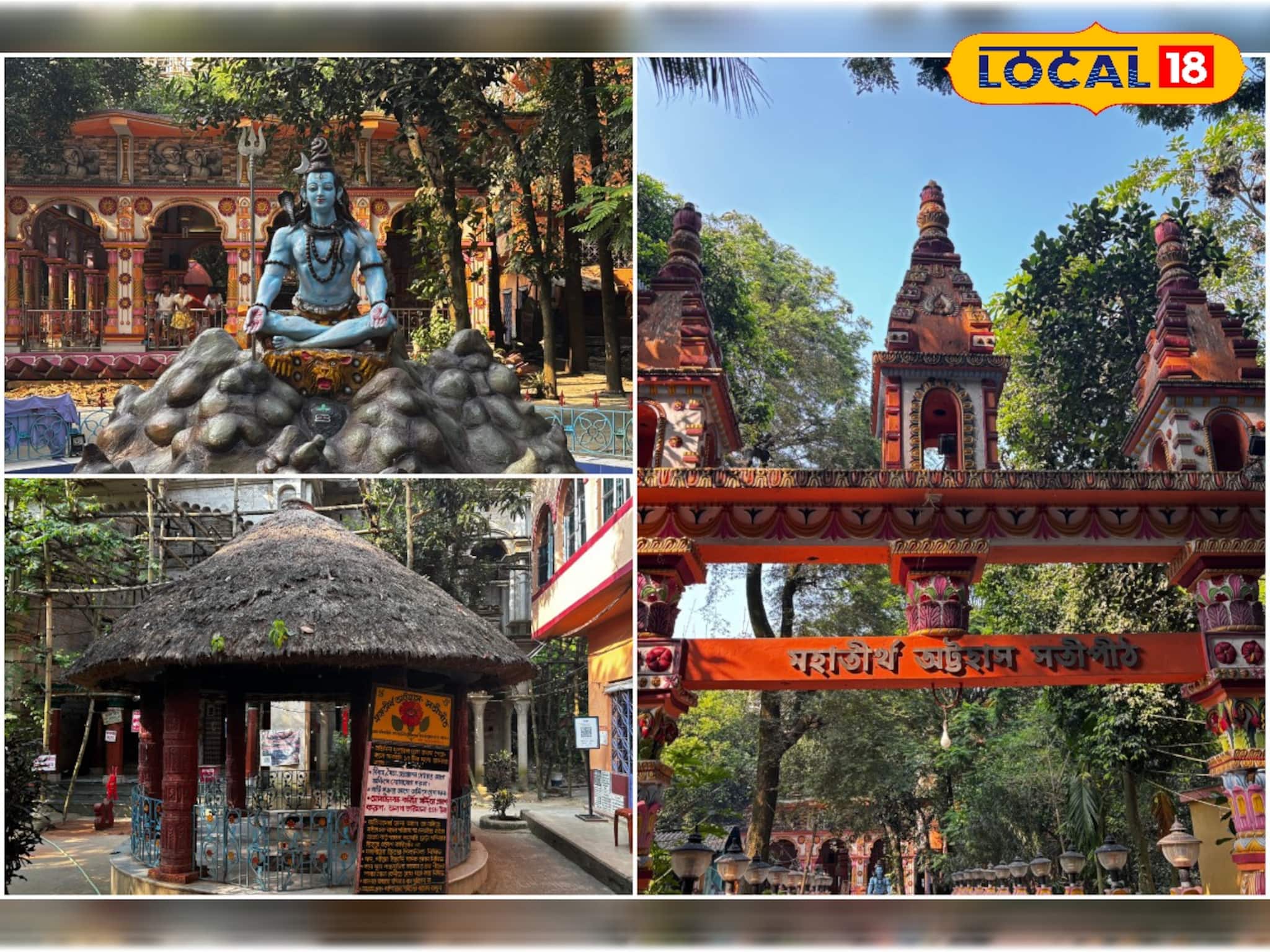 জঙ্গলের মাঝে প্রাচীন কালীমন্দির, পঞ্চমুণ্ডির আসন! পুজো করতেন রঘু ডাকাত? কোন শক্তিপীঠ