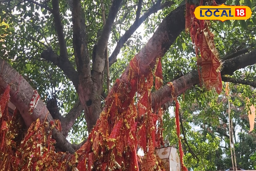 মন্দিরের চতুর্দিকে সবুজ গাছে প্রাকৃতিক মনোরম পরিবেশে ঘেরা। দীপাবলীর ছুটিতে এই মন্দিরে আসলে আপনার মন প্রাণ জুড়িয়ে যাবে এবং আপনি নিষ্ঠার সঙ্গে পুজো দিতে পারবেন। (ছবি ও তথ্য রিন্টু পাঁজা)