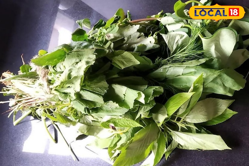কোষ্ঠকাঠিন্যের সমস্যায় ও সর্দি-কাশিতে পাটশাক খুই উপকারী৷ মূলোর শাক খেলে বাতের ব্যথা থেকে মুক্তি পাওয়া যায়। পালং শাকও কোষ্ঠকাঠিন্য দূর করতে সাহায্য করে৷ তবে এই শাকে অতিরিক্ত মাত্রায় ম্যাগনেশিয়াম থাকে। পালং শাকে বিভিন্ন ধরনের ফ্ল্যাবনয়েড রয়েছে৷ আর সরষে শাক শরীরে ‘ভাল’ কোলেস্টেরল বাড়ায়, সুস্থ রাখে হৃৎপিণ্ড সুস্থ৷