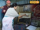 দার্জিলিংয়ে বিধ্বংসী অগ্নিকাণ্ড! মুখ্যমন্ত্রীর আঁকা ছবিসহ পুড়ে ছাই শিল্পীর ঘর