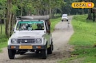 অবশেষে খুলল ডুয়ার্সের 'এই' গেট, পর্যটকরা এখানে যা দেখতে পান, আজীবন মনে থেকে যায়