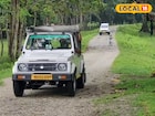 অবশেষে খুলল ডুয়ার্সের 'এই' গেট, পর্যটকরা এখানে যা দেখতে পান, আজীবন মনে থেকে যায়