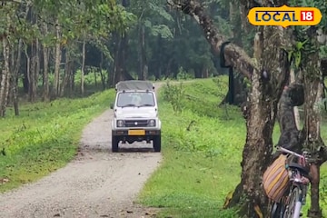 অবশেষে খুলল ডুয়ার্সের 'এই' গেট, পর্যটকরা এখানে যা দেখতে পান, আজীবন মনে থেকে যায় অবশেষে খুলল ডুয়ার্সের 'এই' গেট, পর্যটকরা এখানে যা দেখতে পান, আজীবন মনে থেকে যায়